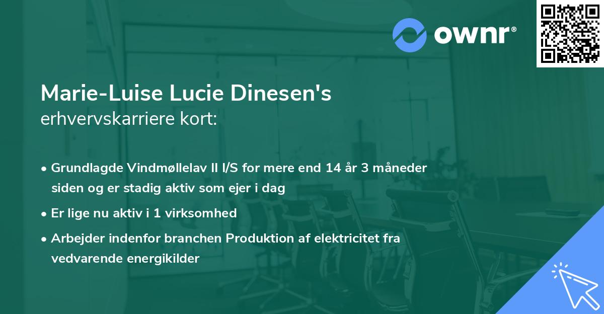 Marie-Luise Lucie Dinesen's erhvervskarriere kort