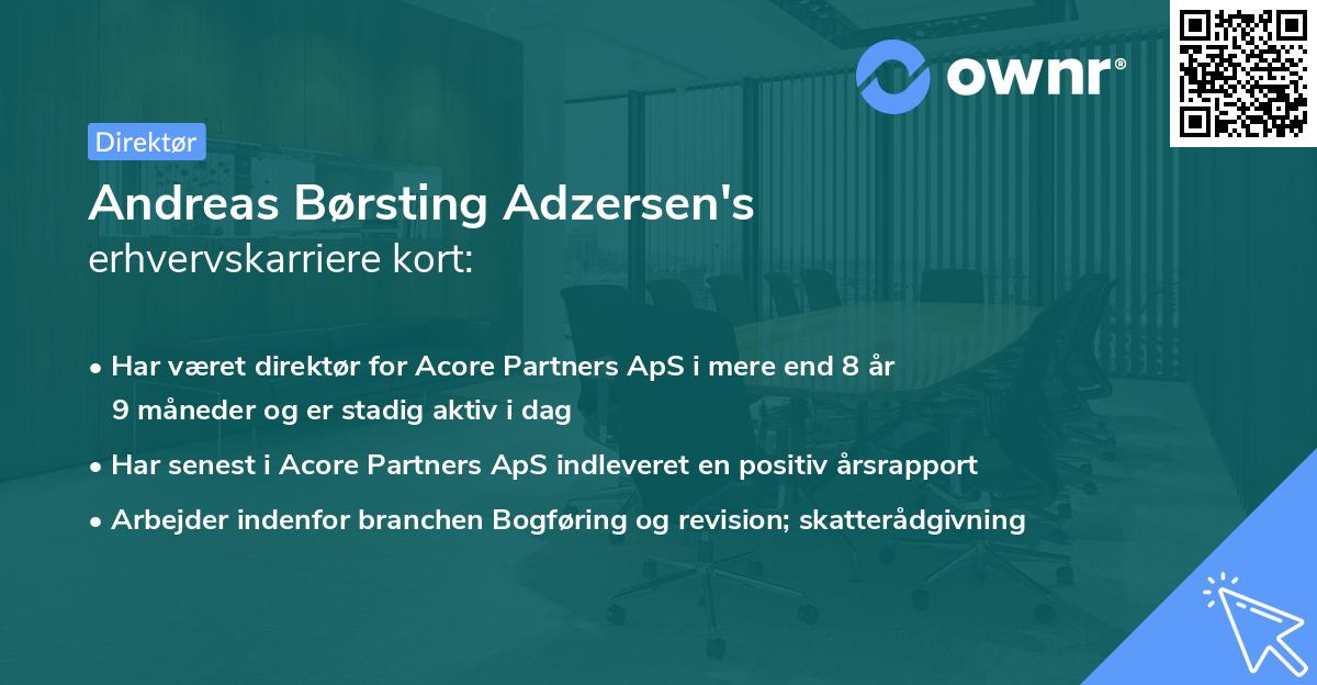 Andreas Børsting Adzersen's erhvervskarriere kort