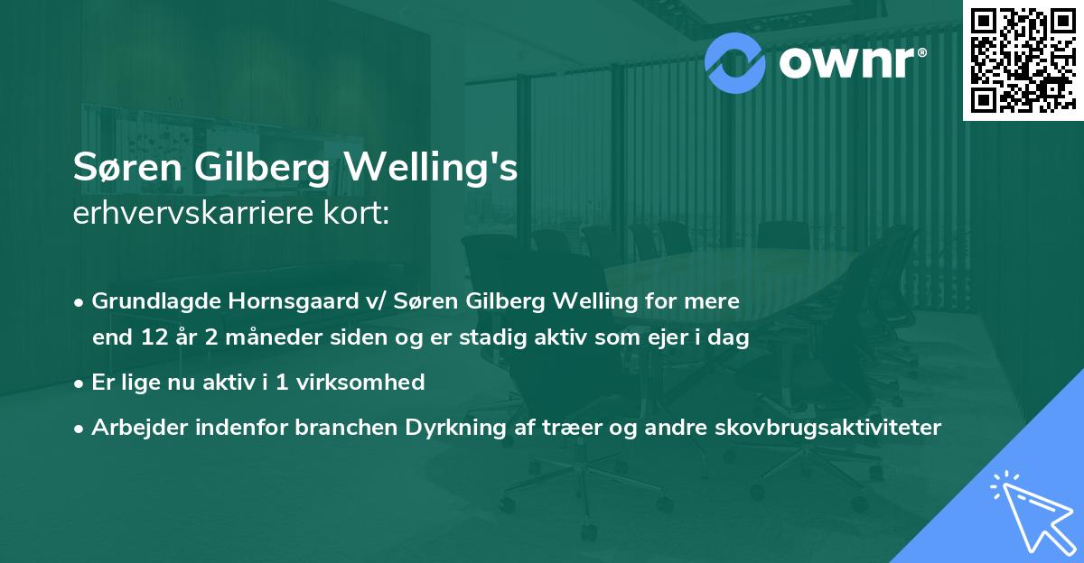 Søren Gilberg Welling's erhvervskarriere kort