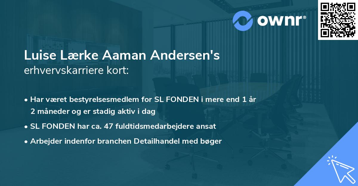 Luise Lærke Aaman Andersen's erhvervskarriere kort