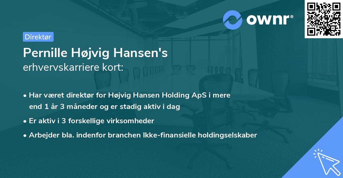 Pernille Højvig Hansen's erhvervskarriere kort