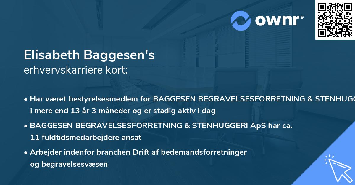 Elisabeth Baggesen's erhvervskarriere kort