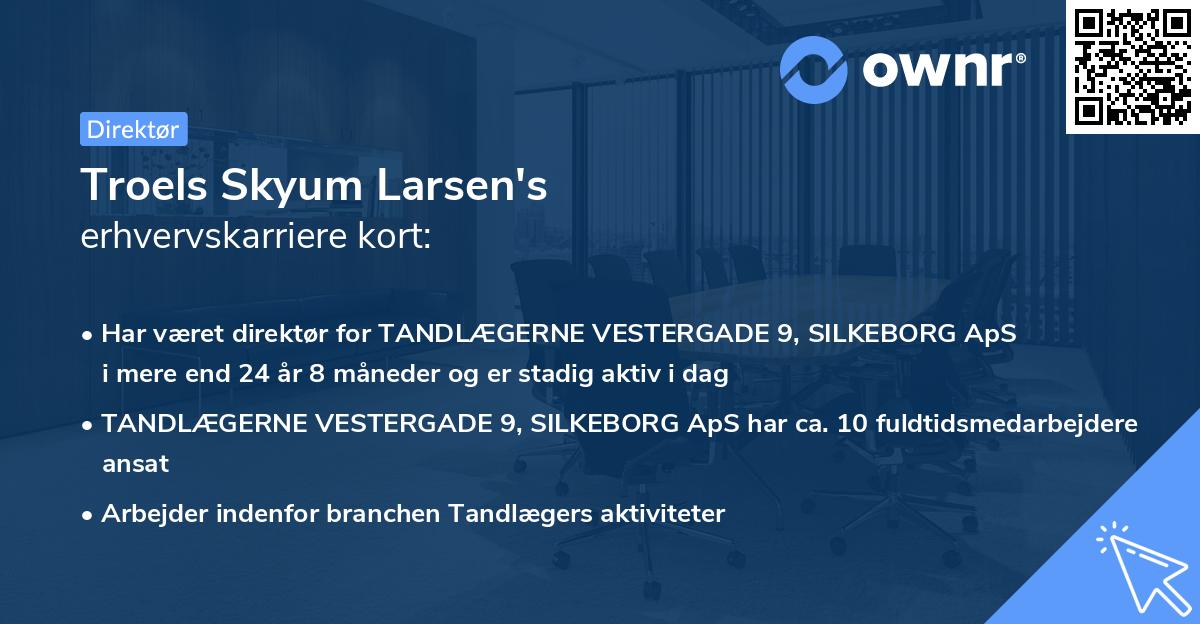 Troels Skyum Larsen's erhvervskarriere kort