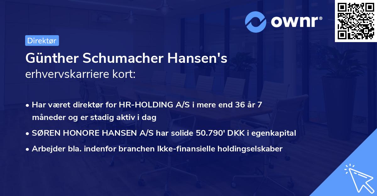 Günther Schumacher Hansen's erhvervskarriere kort