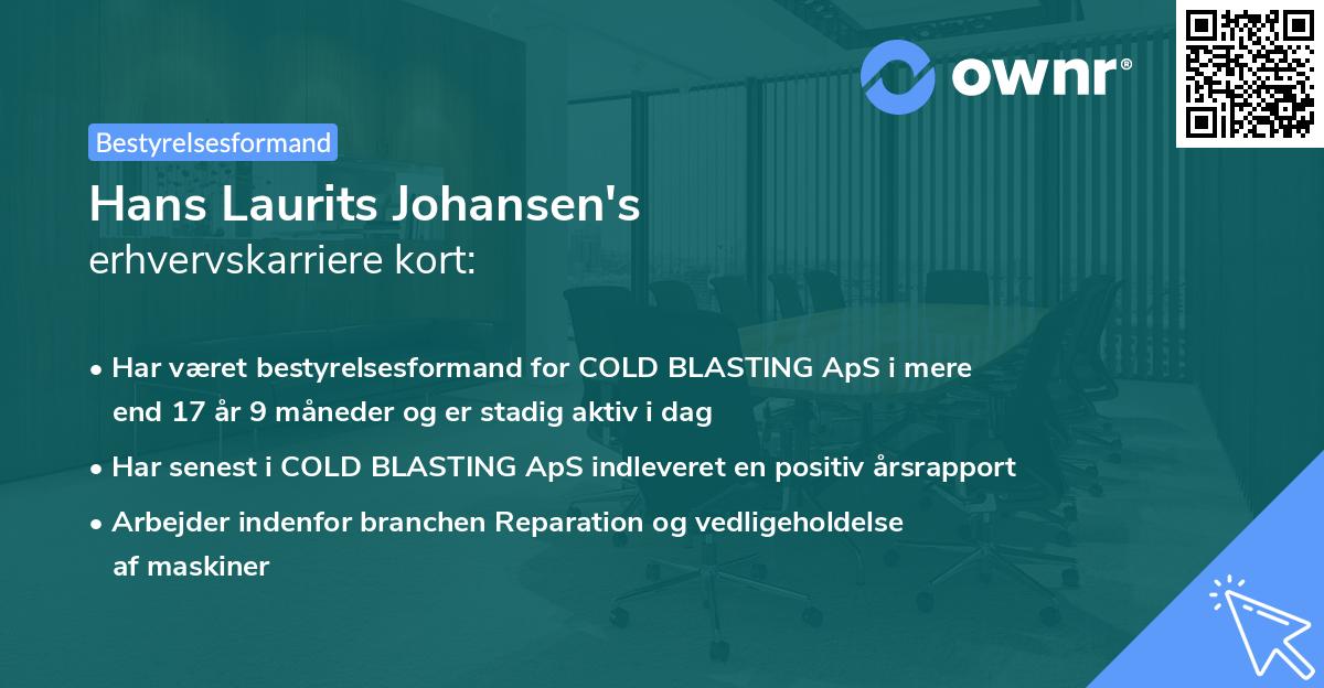 Hans Laurits Johansen's erhvervskarriere kort
