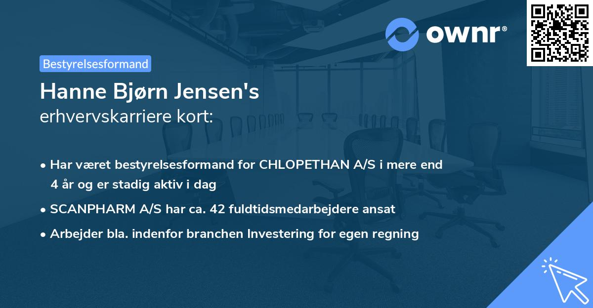 Hanne Bjørn Jensen's erhvervskarriere kort