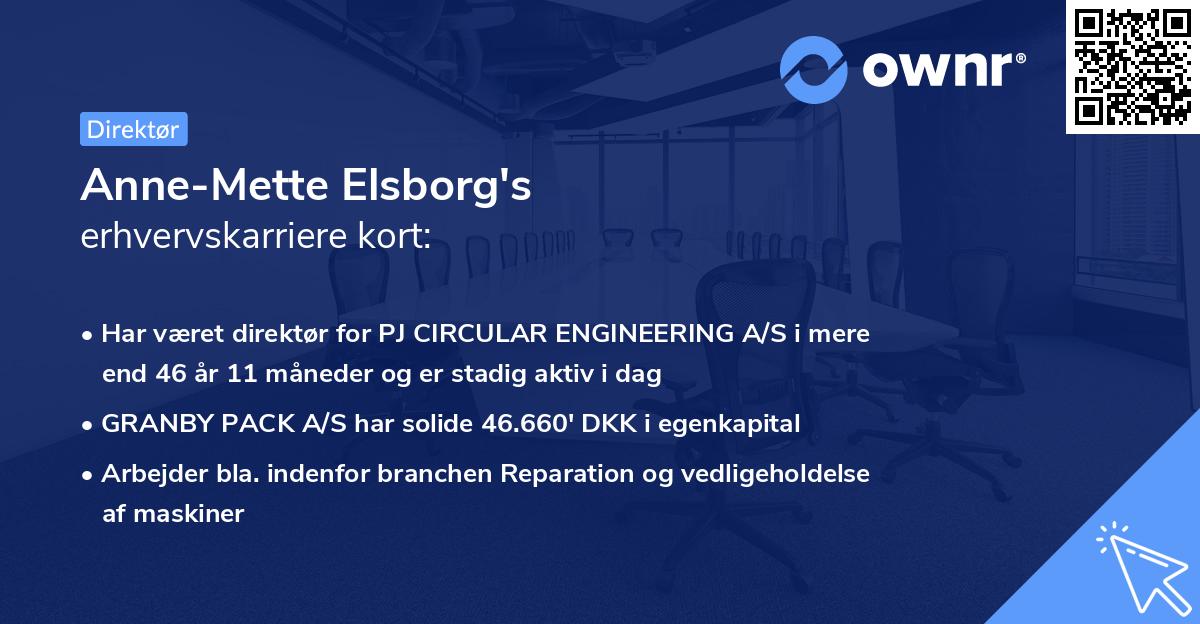 Anne-Mette Elsborg's erhvervskarriere kort