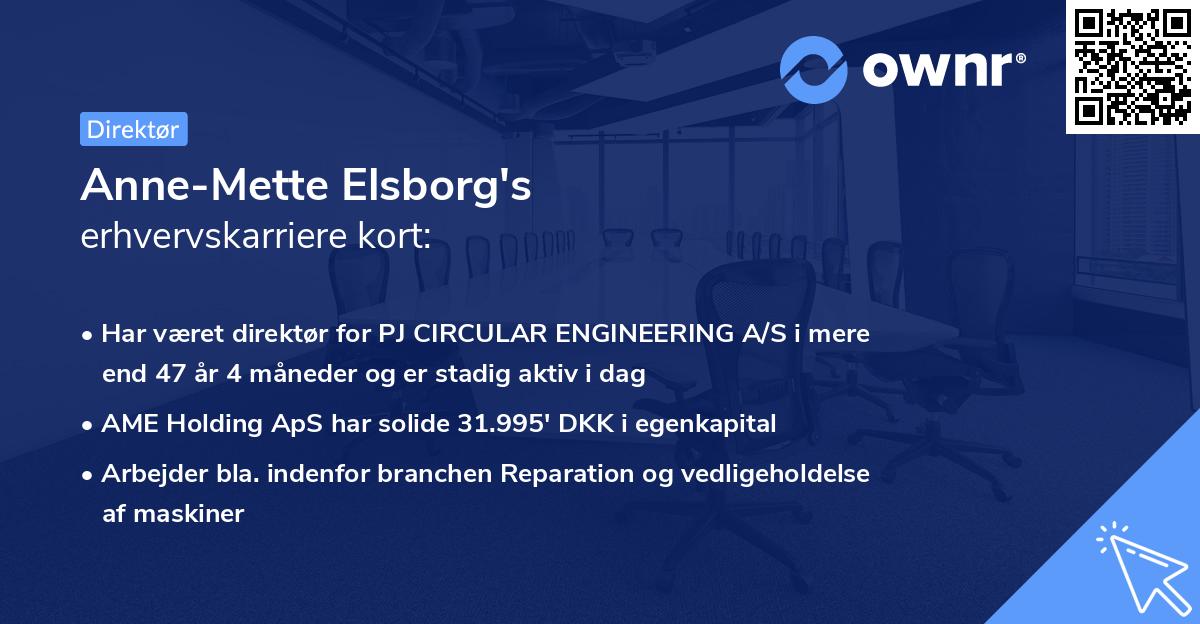 Anne-Mette Elsborg's erhvervskarriere kort