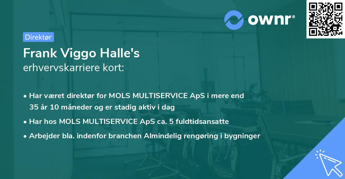Frank Viggo Halle's erhvervskarriere kort