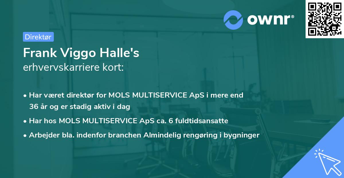 Frank Viggo Halle's erhvervskarriere kort