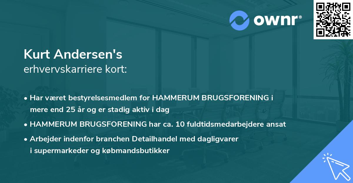 Kurt Andersen's erhvervskarriere kort