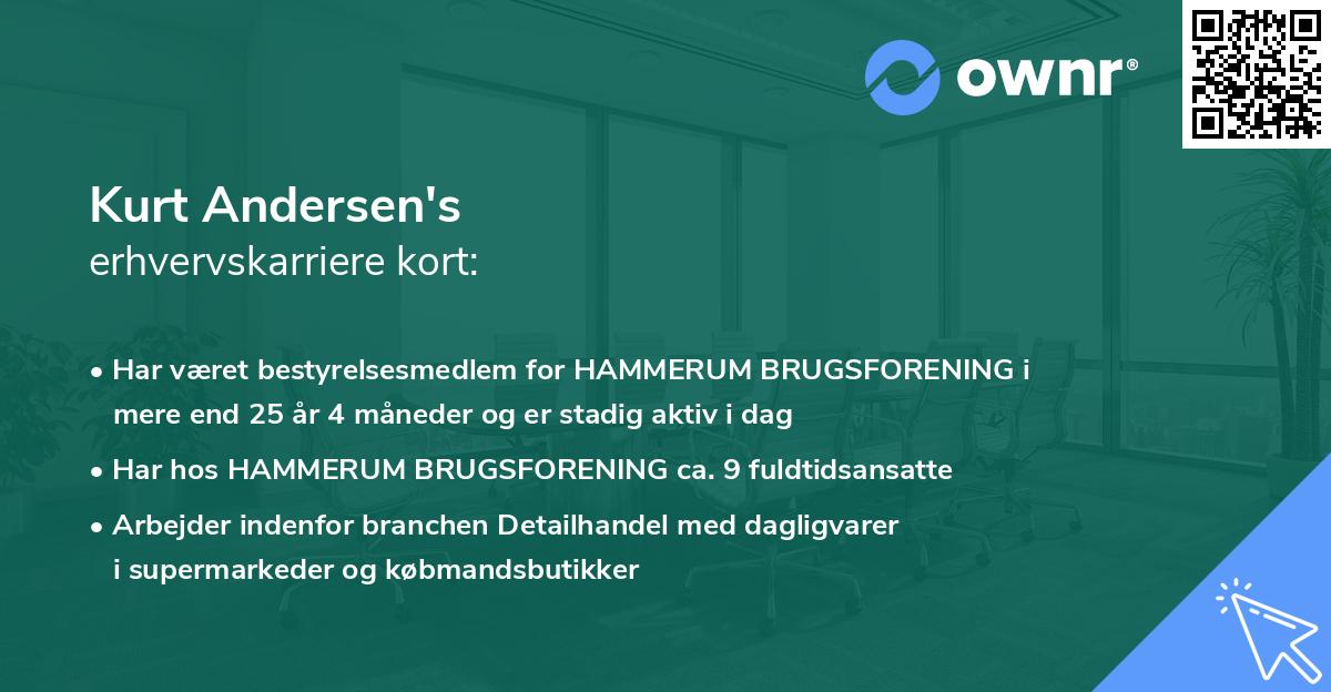 Kurt Andersen's erhvervskarriere kort
