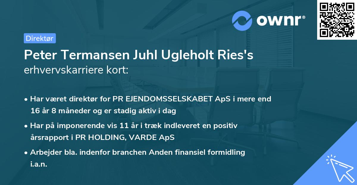 Peter Termansen Juhl Ugleholt Ries's erhvervskarriere kort