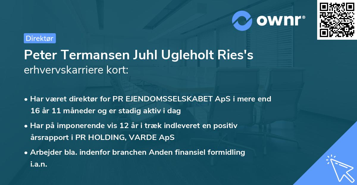 Peter Termansen Juhl Ugleholt Ries's erhvervskarriere kort