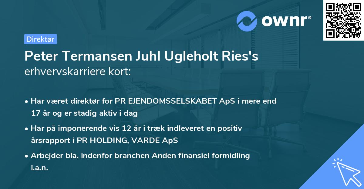 Peter Termansen Juhl Ugleholt Ries's erhvervskarriere kort