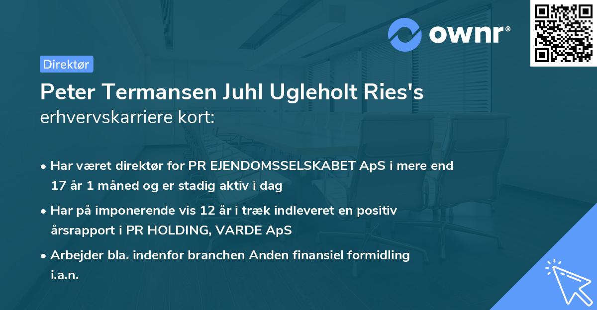 Peter Termansen Juhl Ugleholt Ries's erhvervskarriere kort