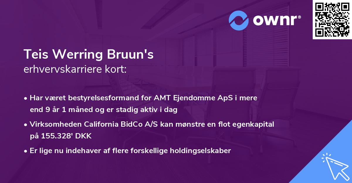 Teis Werring Bruun's erhvervskarriere kort