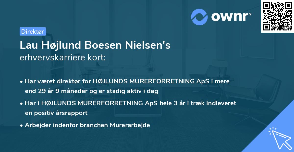 Lau Højlund Boesen Nielsen's erhvervskarriere kort