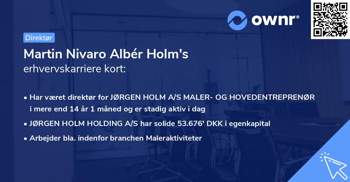 Martin Nivaro Albér Holm's erhvervskarriere kort