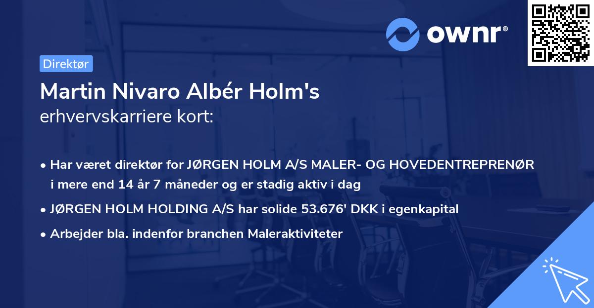 Martin Nivaro Albér Holm's erhvervskarriere kort