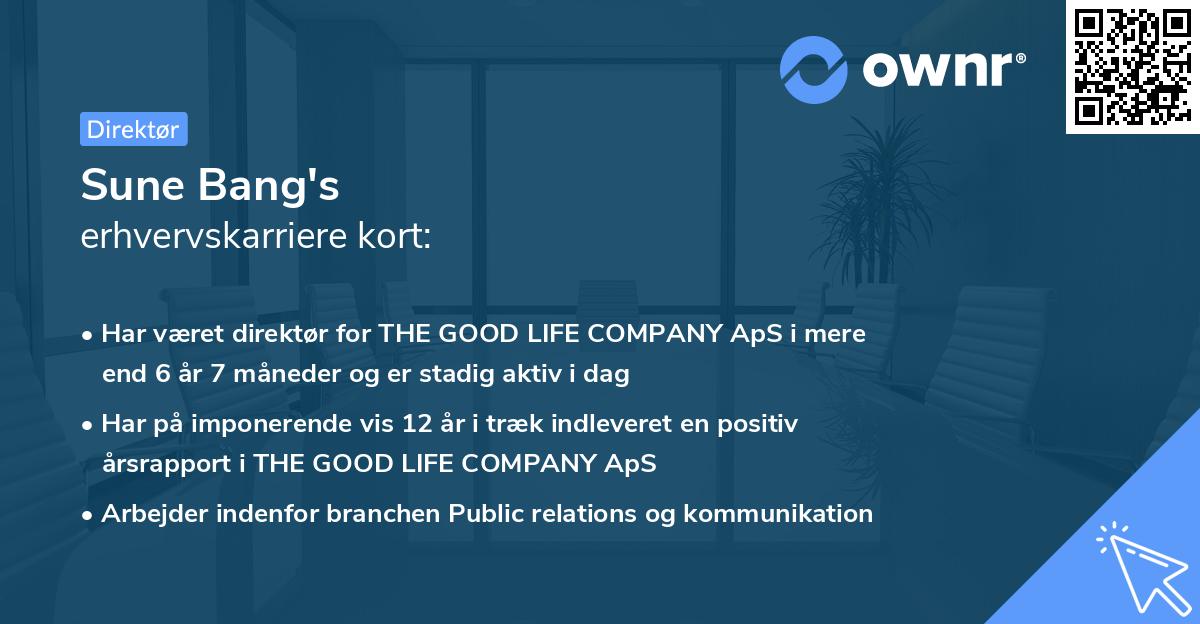 Sune Bang's erhvervskarriere kort