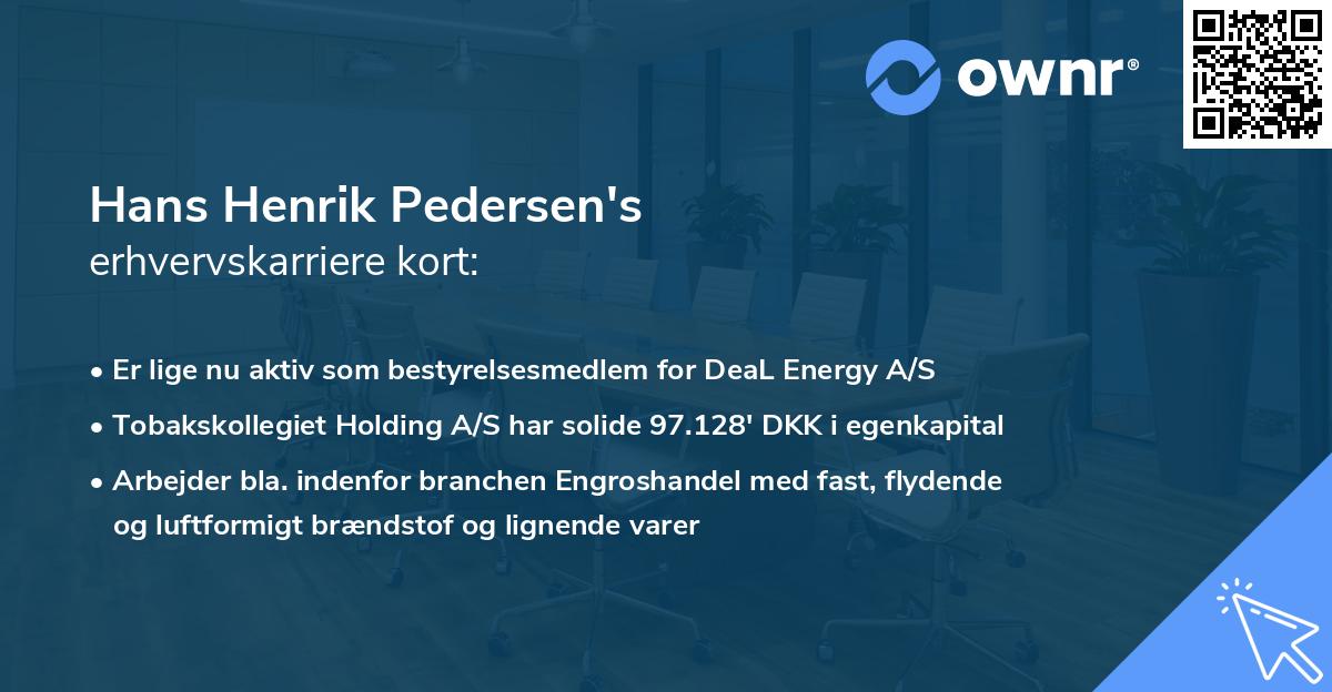 Hans Henrik Pedersen's erhvervskarriere kort