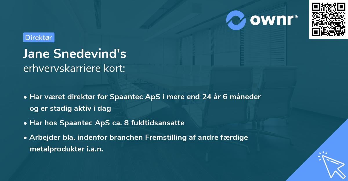 Jane Snedevind's erhvervskarriere kort