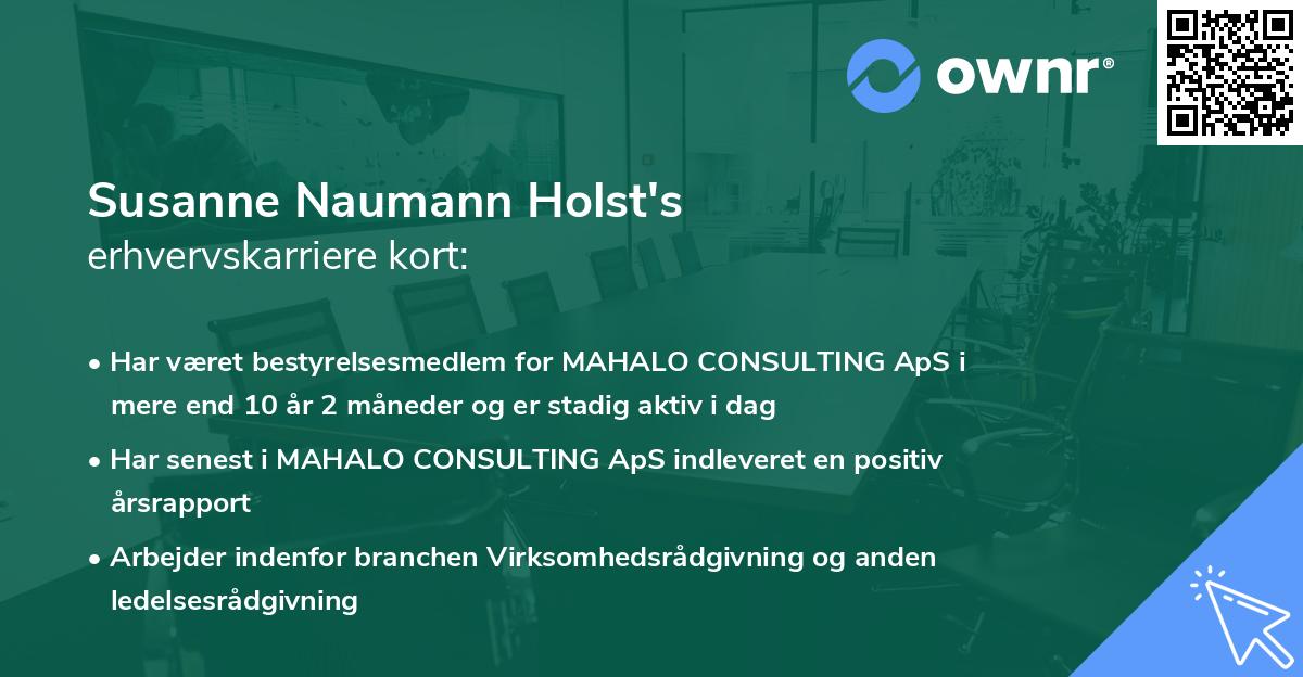 Susanne Naumann Holst's erhvervskarriere kort