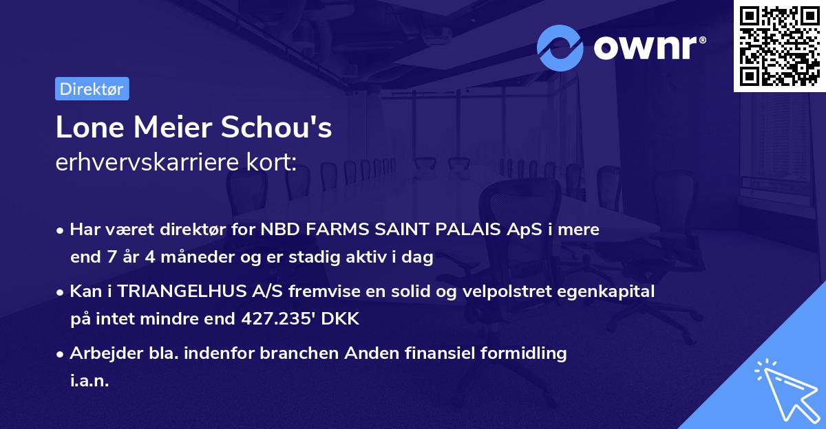 Lone Meier Schou's erhvervskarriere kort
