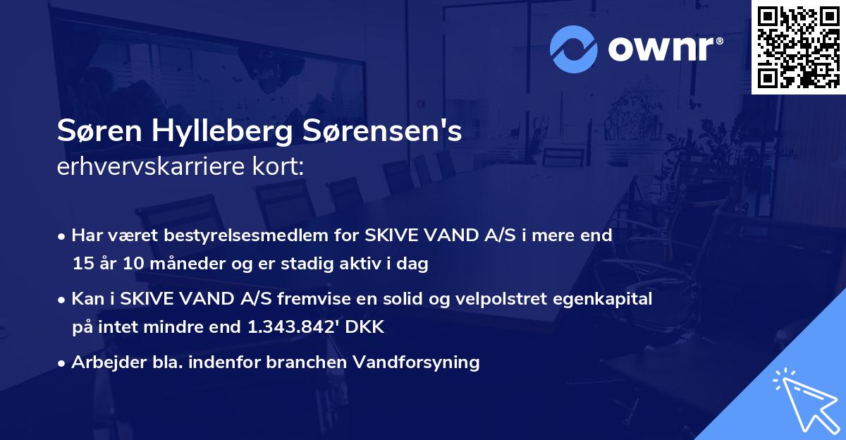 Søren Hylleberg Sørensen's erhvervskarriere kort