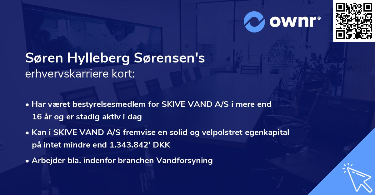 Søren Hylleberg Sørensen's erhvervskarriere kort