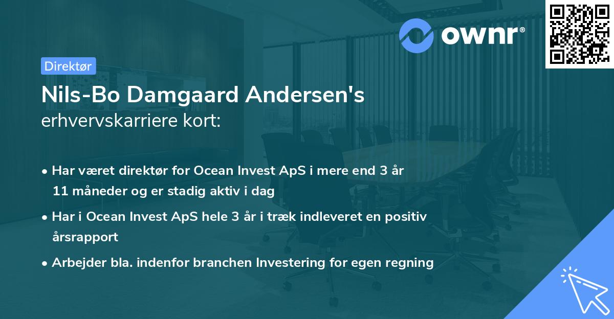 Nils-Bo Damgaard Andersen's erhvervskarriere kort
