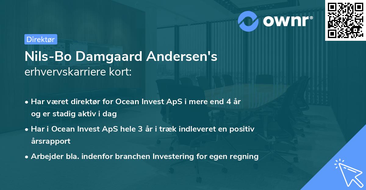Nils-Bo Damgaard Andersen's erhvervskarriere kort