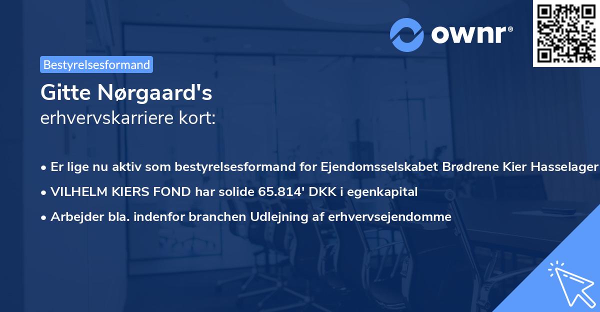 Gitte Nørgaard's erhvervskarriere kort