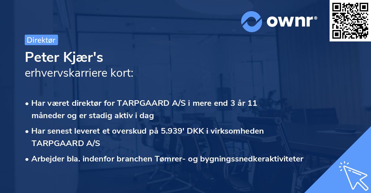 Peter Kjær's erhvervskarriere kort