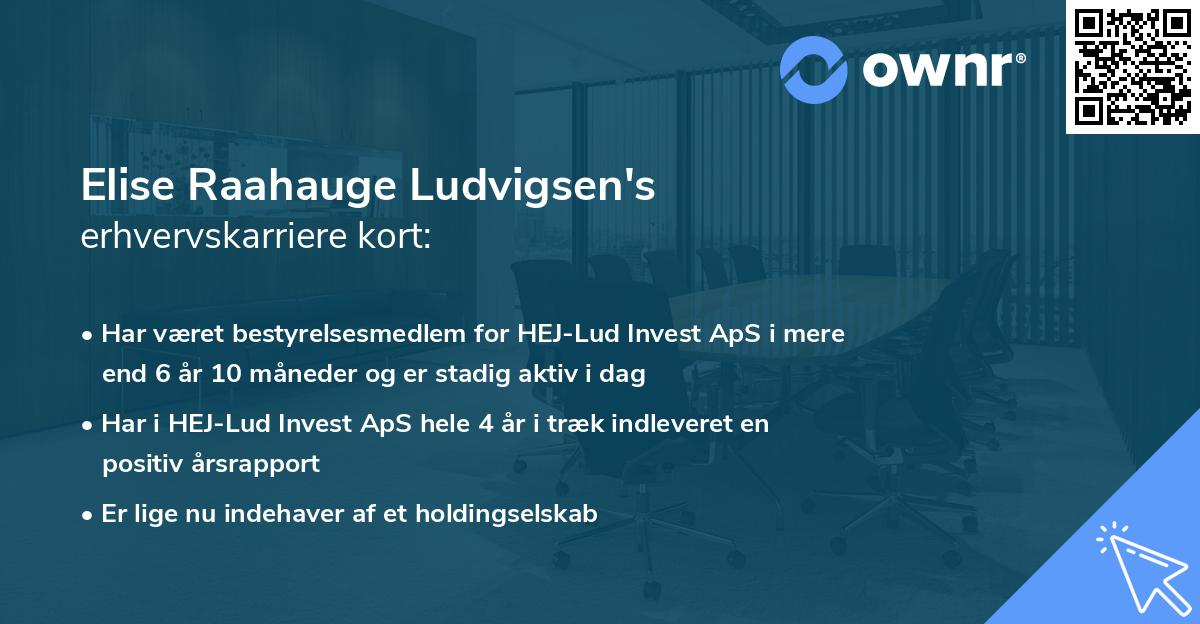 Elise Raahauge Ludvigsen's erhvervskarriere kort