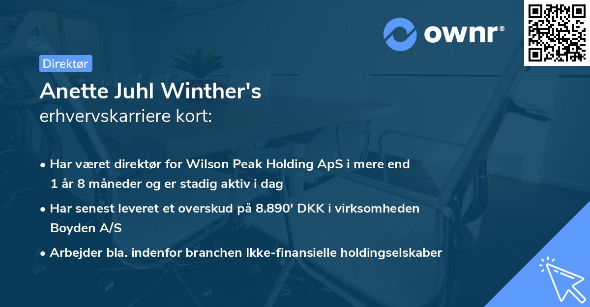 Anette Juhl Winther's erhvervskarriere kort