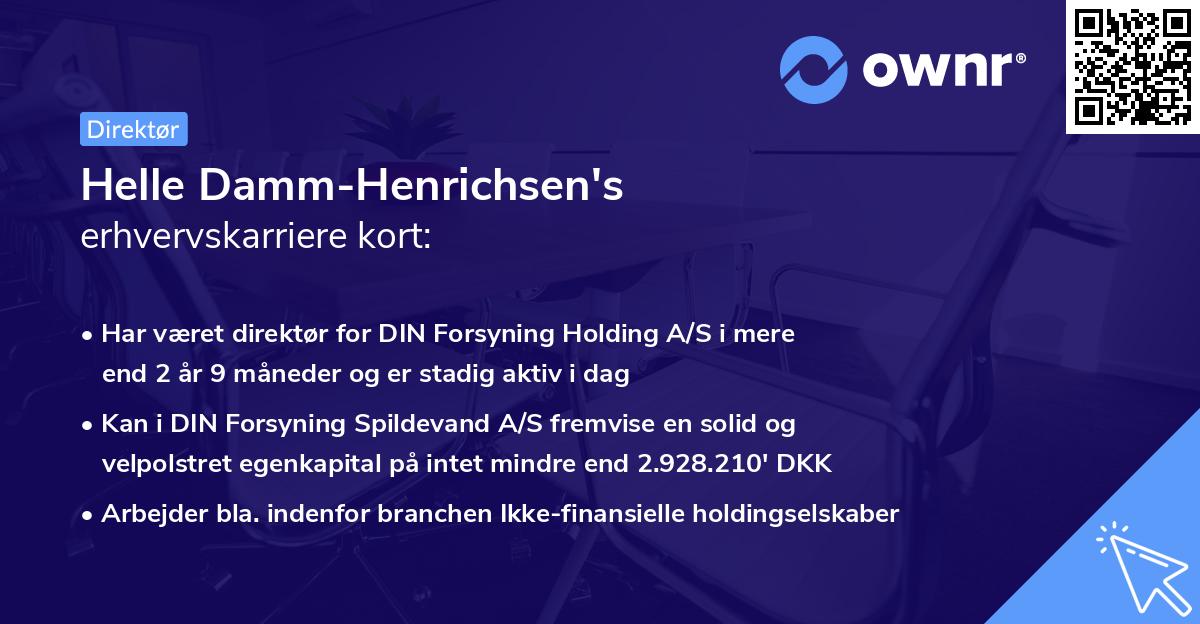 Helle Damm-Henrichsen's erhvervskarriere kort