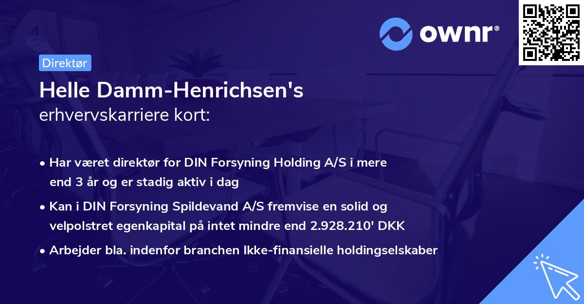 Helle Damm-Henrichsen's erhvervskarriere kort