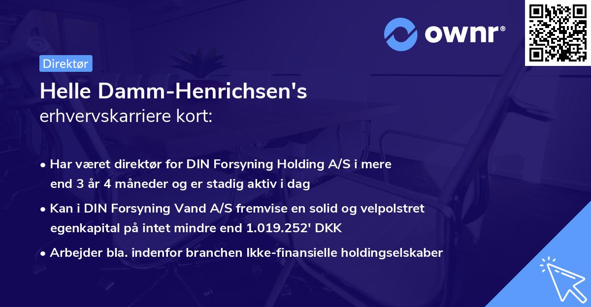 Helle Damm-Henrichsen's erhvervskarriere kort