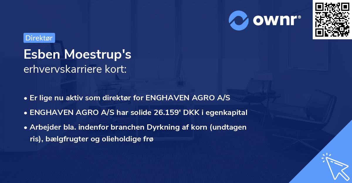 Esben Moestrup's erhvervskarriere kort