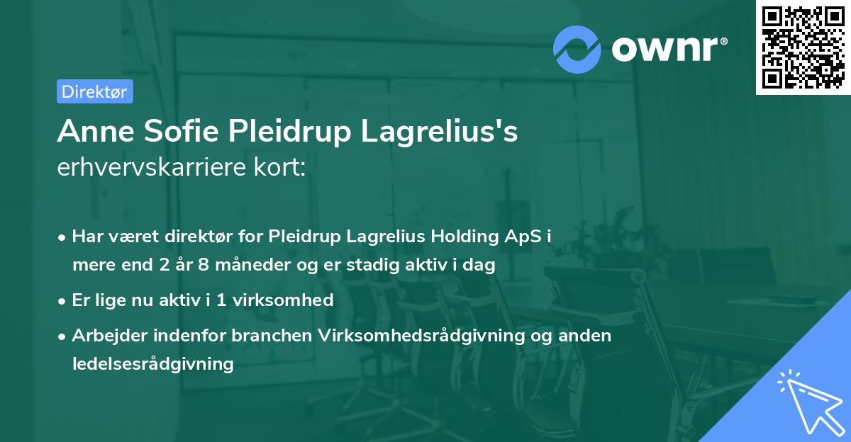 Anne Sofie Pleidrup Lagrelius's erhvervskarriere kort
