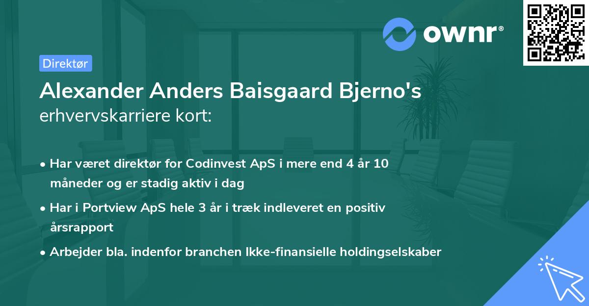 Alexander Anders Baisgaard Bjerno's erhvervskarriere kort