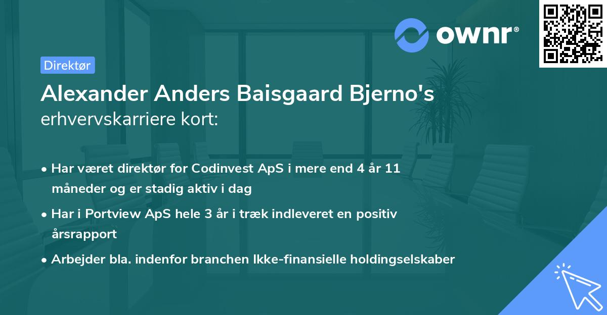 Alexander Anders Baisgaard Bjerno's erhvervskarriere kort