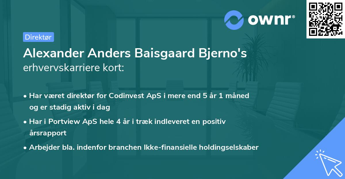 Alexander Anders Baisgaard Bjerno's erhvervskarriere kort