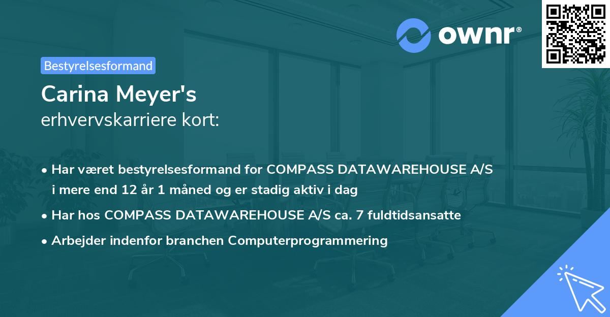 Carina Meyer's erhvervskarriere kort
