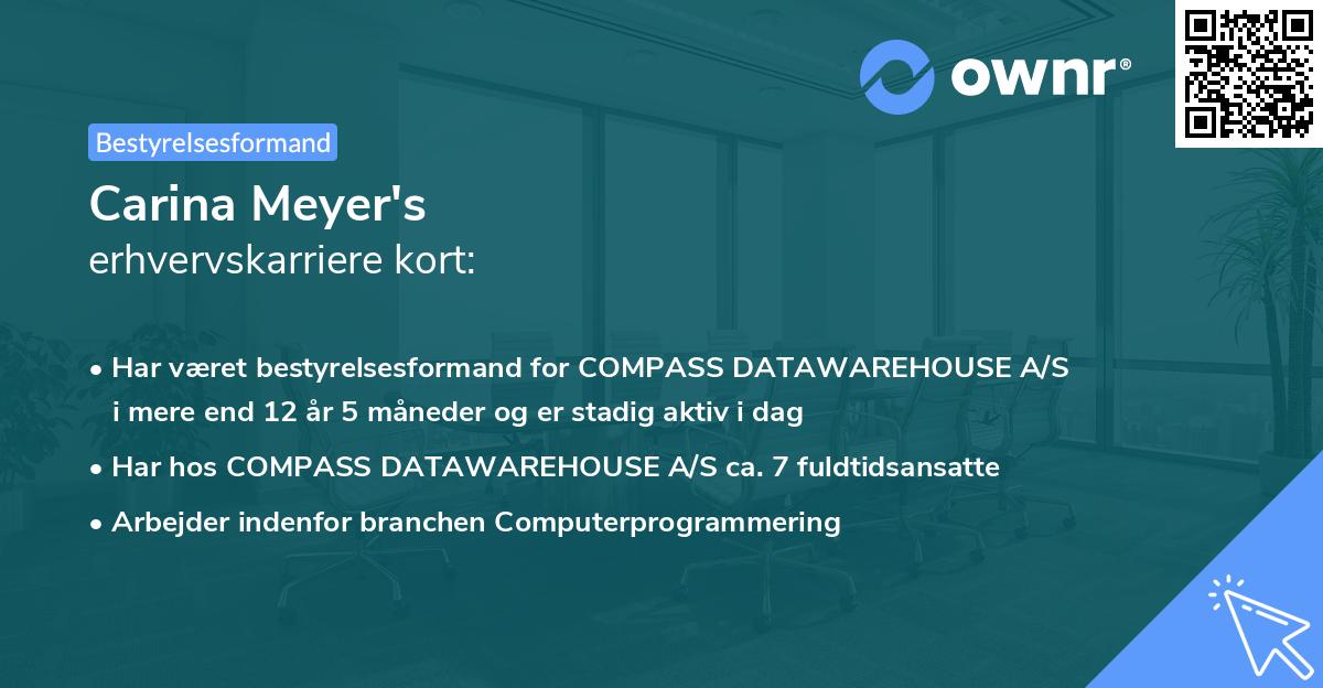 Carina Meyer's erhvervskarriere kort