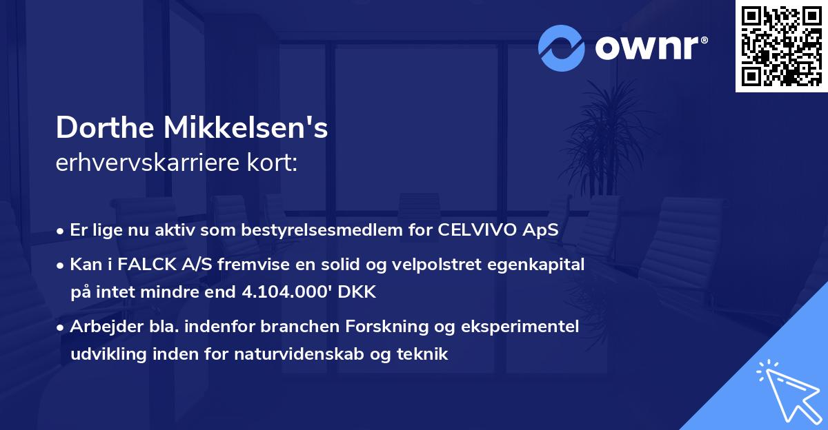 Dorthe Mikkelsen's erhvervskarriere kort