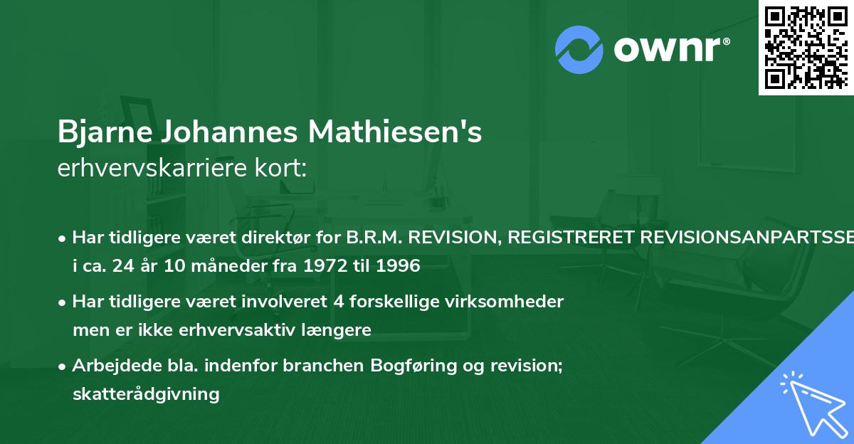 Bjarne Johannes Mathiesen's erhvervskarriere kort