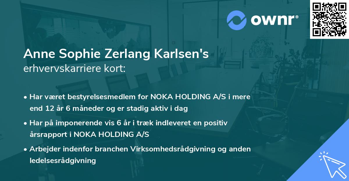 Anne Sophie Zerlang Karlsen's erhvervskarriere kort